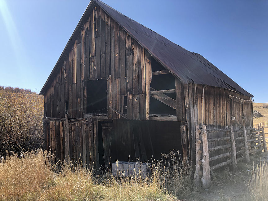 True Grit Ranch 6